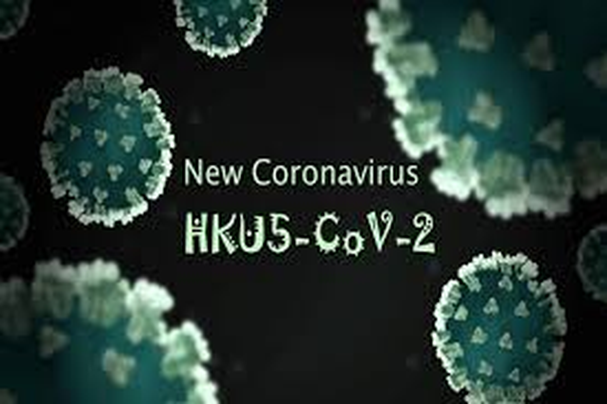  HKU5-CoV-2, nuevo cornovarius en Wuhan. HKU5-CoV-2, nuevo cornovarius en Wuhan.