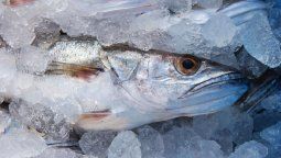 altText(¿El pescado es un lujo? El consumo en España cae un 30% en diez años)}