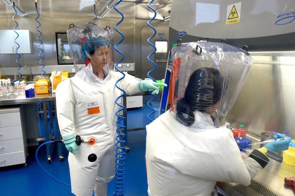 En China, experimentos con coranavirus se están llevando a cabo por debajo de los niveles de bioseguridad, según expertos.
