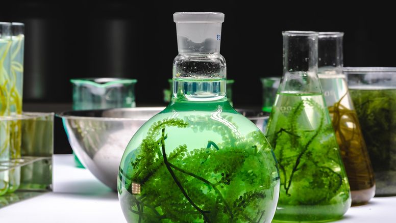 Apuntes para una nueva Ley de Biocombustibles en la Argentina