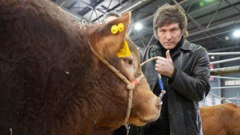 Pese a las inundaciones y las retenciones, el campo sorprendió con su gran apoyo a Javier Milei