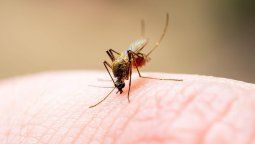 ¿Cómo usar repelente de mosquitos correctamente?