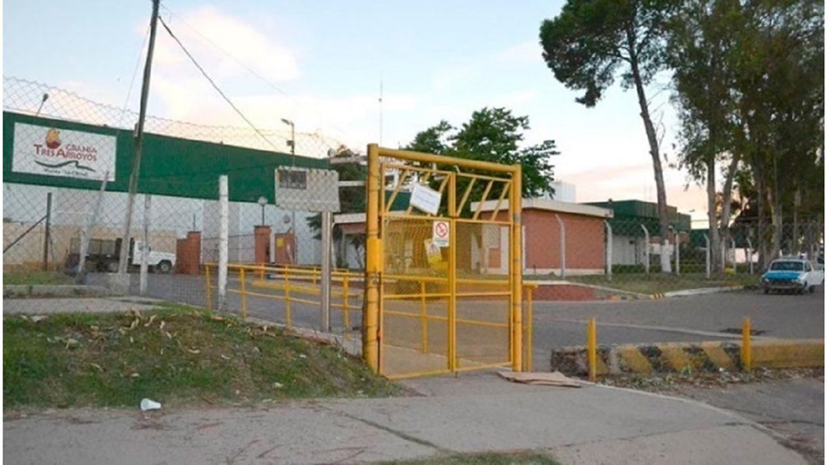 Tres Arroyos: muy afectada por la importación masiva de pollos desde Brasil