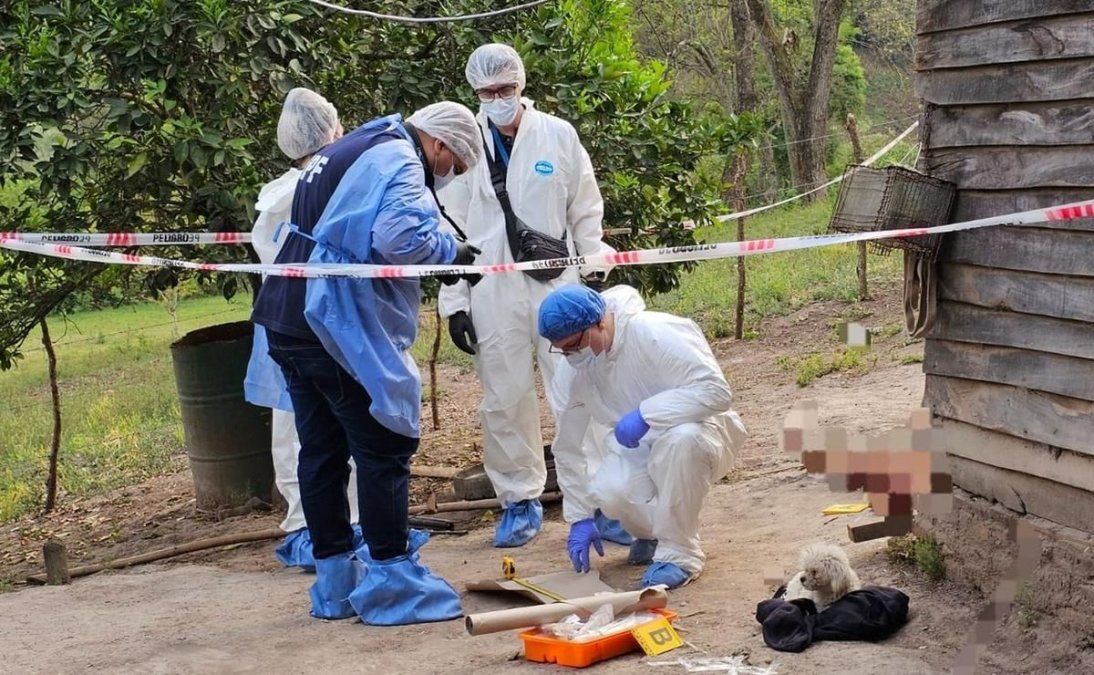 Tucumán está en shock por el tercer femicidio en 48 horas: Culpan a Javier Milei y a Osvaldo Jaldo.