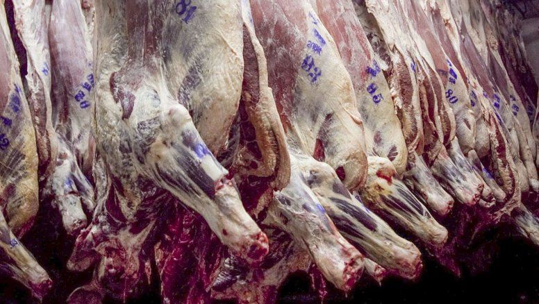 Carne: Advierten que la apertura de importaciones de Trump 