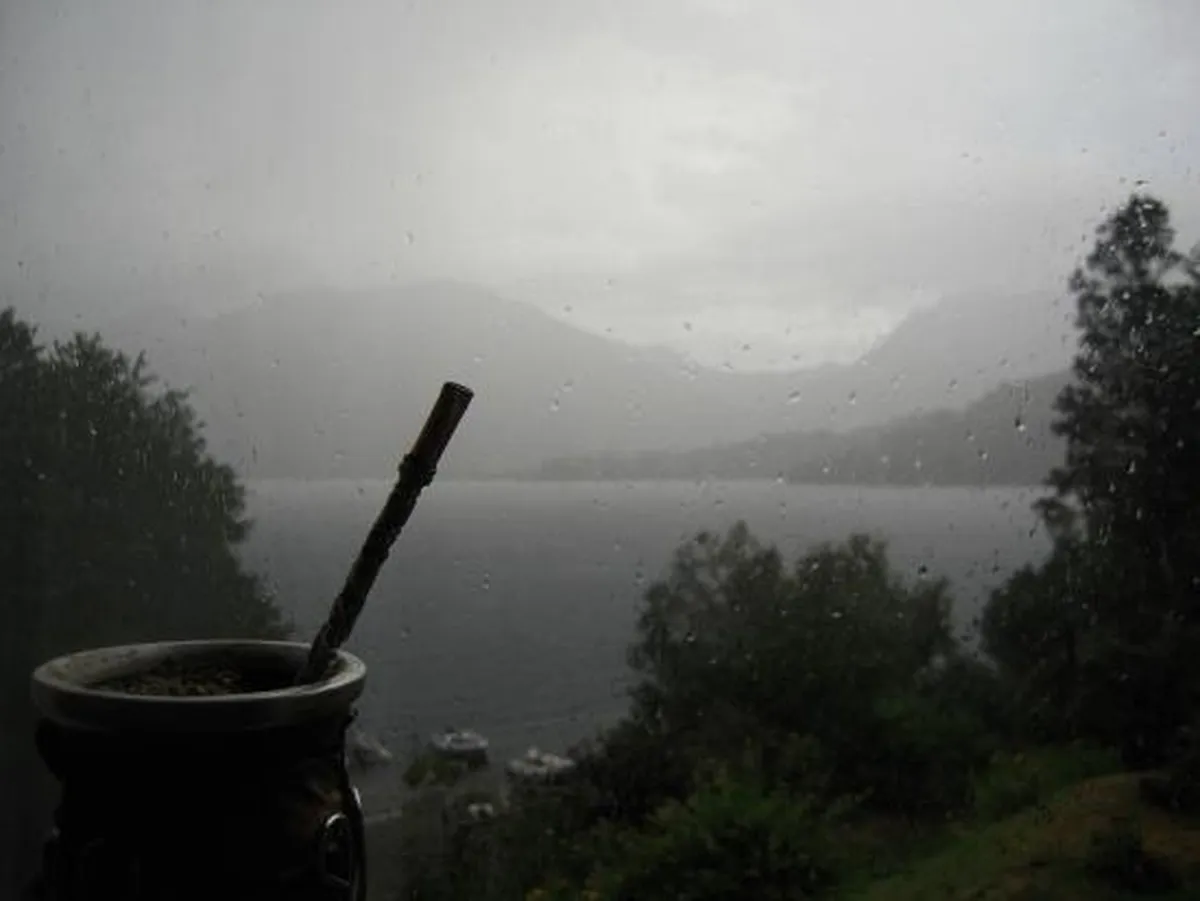 Ecologistas cuestionan la ley ómnibus Ecologistas cuestionan la ley ómnibus