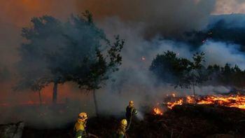 Incendios: La lluvia ayudó pero siguen activos, los brigadistas reclaman y Milei paga llamándolos 'héroes'