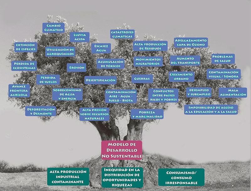 Escasea en los medios de comunicación argentinos una inquietud por el desarrollo del periodismo ambiental.