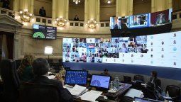 altText(El Senado validó todos los DNU que firmó Alberto Fernández en medio de la pandemia)}
