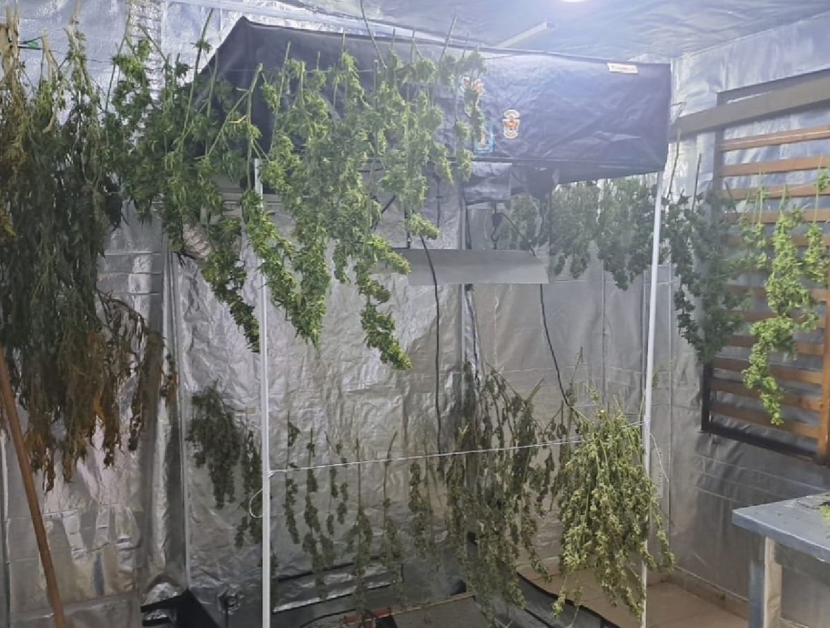 Un hombre quiso robar marihuana de una casa y lo mataron de un tiro. (Foto: La Gaceta Exaltación) Un hombre quiso robar marihuana de una casa y lo mataron de un tiro. (Foto: La Gaceta Exaltación)