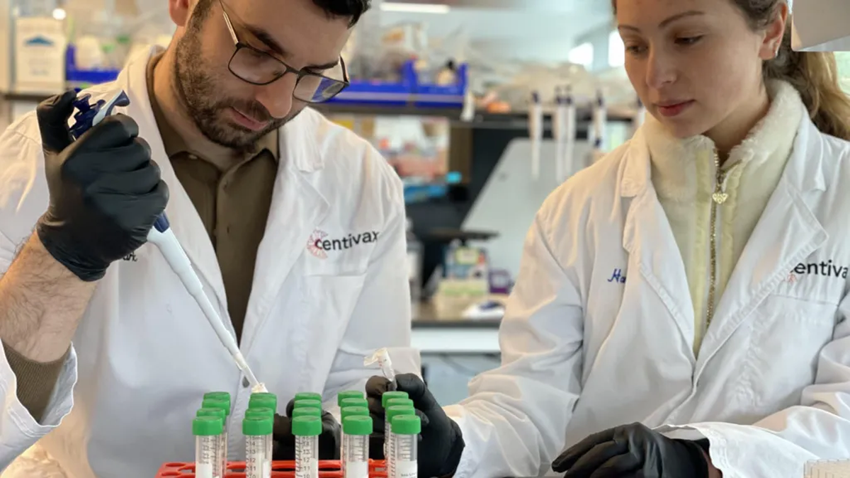 La sangre de Friede ayudó a desarrollar un cóctel experimental que protege contra varias especies de serpientes, avanzando hacia un antiveneno universal que podría salvar miles de vidas. La sangre de Friede ayudó a desarrollar un cóctel experimental que protege contra varias especies de serpientes, avanzando hacia un antiveneno universal que podría salvar miles de vidas.