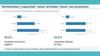 La mitad de las Pymes ya opera con resultado negativo y la mayoría rechaza la gestión Milei