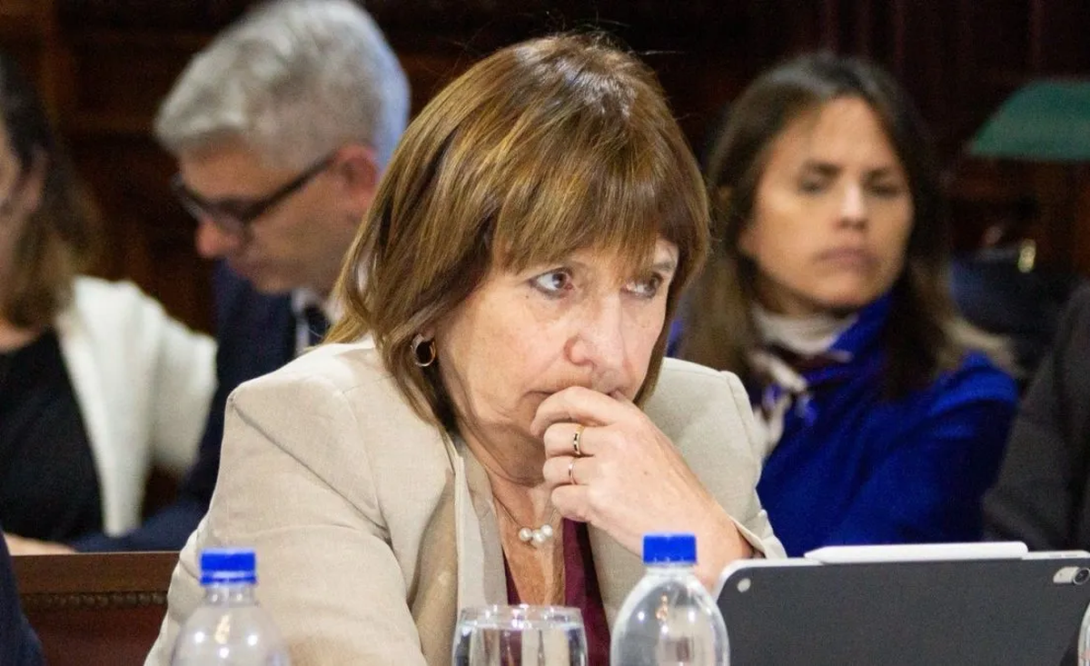 Patricia Bullrich otra vez desafía a Javier Milei. Foto: X/@PatoBullrich Patricia Bullrich otra vez desafía a Javier Milei. Foto: X/@PatoBullrich