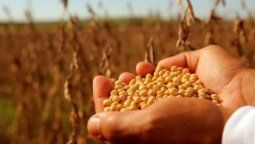 altText(Sociedad Rural de Rosario cruzó a Alberto F., pero ley de semillas calmaría las aguas)}