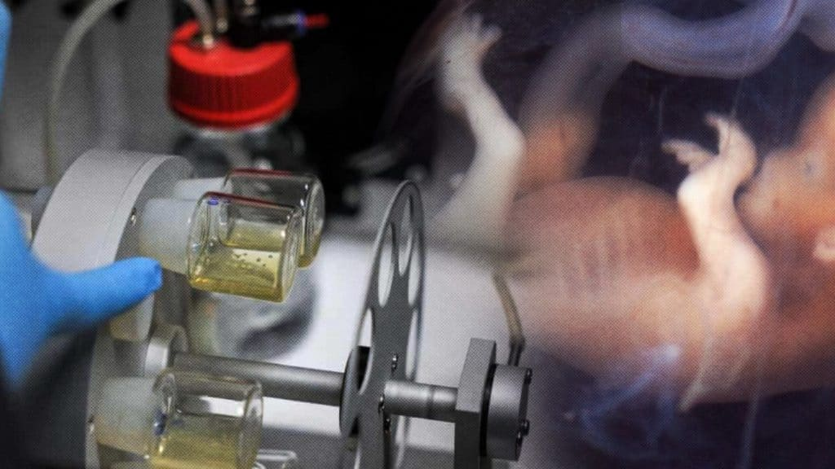 Parece sacado de una película de ciencia ficción. Parece sacado de una película de ciencia ficción.