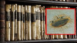 altText(El Vaticano y los OVNIS: ¿Qué secretos guarda la Iglesia sobre los extraterrestres?)}