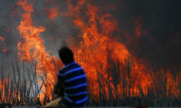 Se incendia esta tarde la Reserva Ecológica (Foto: Paula Ribas/Télam)