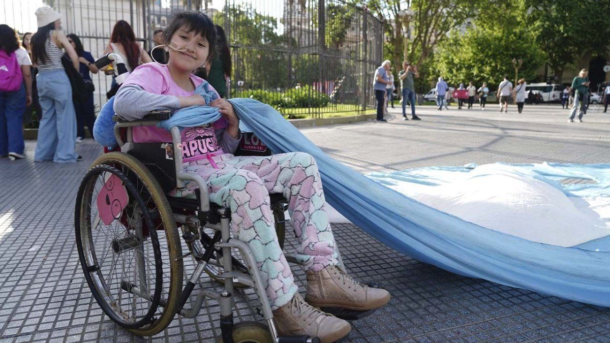 Se caen m&aacute;s de 20.000 pensiones por discapacidad. 
