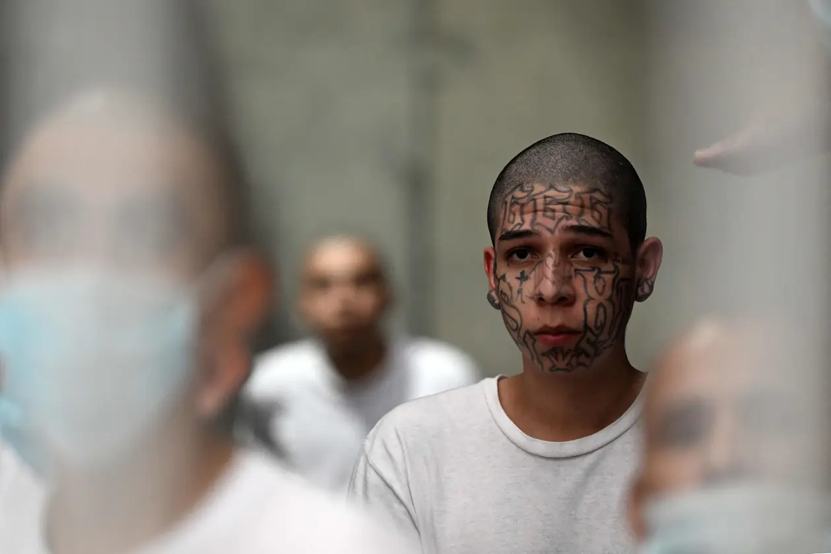 Claro está que en la guerra de Bukele contra el crimen organizado, se cometieron excesos, pero convirtió al país en uno de los más seguros de Centroamérica. Claro está que en la guerra de Bukele contra el crimen organizado, se cometieron excesos, pero convirtió al país en uno de los más seguros de Centroamérica.