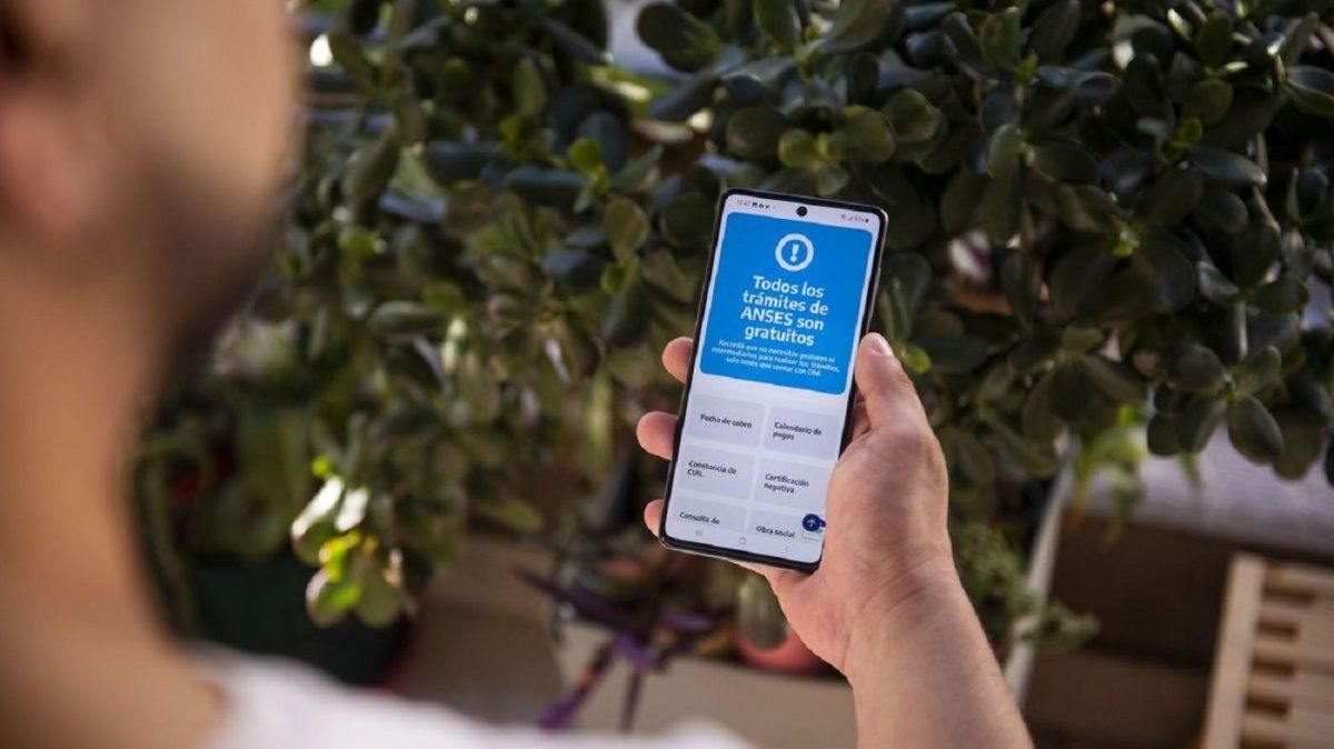 Anses habilita una nueva billetera virtual y reaviva la pelea por los cobros de planes sociales