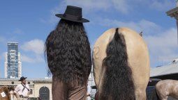 Creativo primer premio Creativo primer premio