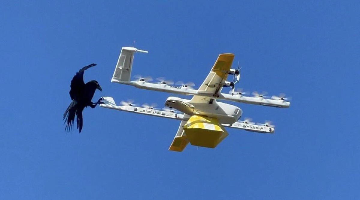 Drones que simulan ser pájaros. Drones que simulan ser pájaros.
