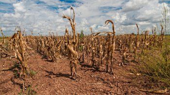 La Sociedad Rural de Rosario sumó el costo de la pérdida de nutrientes de los suelos al saqueo programado de las retenciones. La Sociedad Rural de Rosario sumó el costo de la pérdida de nutrientes de los suelos al saqueo programado de las retenciones.