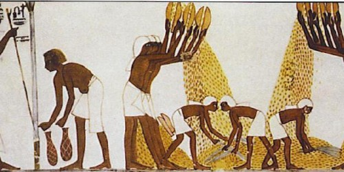 Las clases más bajas en el Antiguo Egipto consumían cerveza, a diferencia de la realeza que tomaba vino. La cerveza, llamada Las clases más bajas en el Antiguo Egipto consumían cerveza, a diferencia de la realeza que tomaba vino. La cerveza, llamada