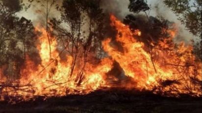 Al fuego en Corrientes, Juan Cabandié envía tuits y un secretario