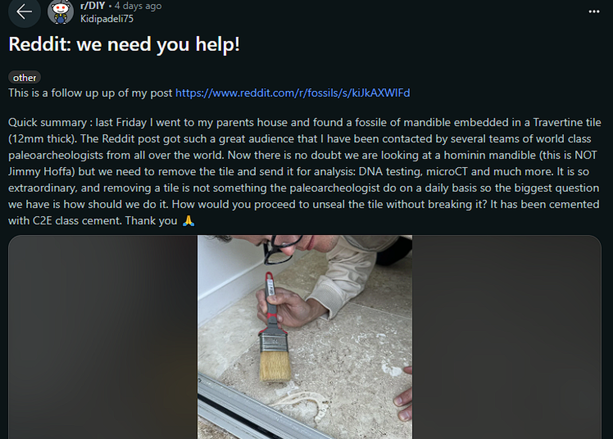 Acá la publicación original en Reddit. Acá la publicación original en Reddit.