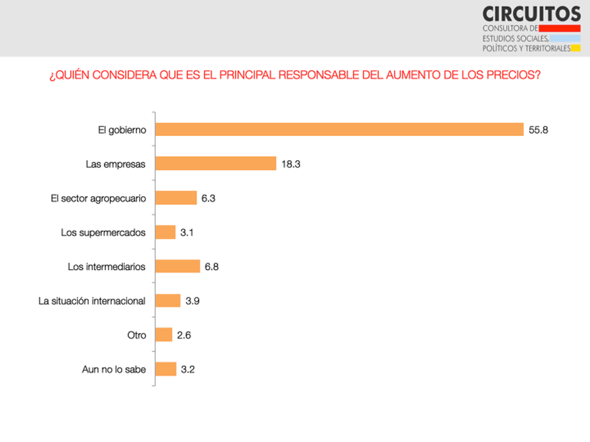 El gobierno, principal responsable de la inflación, según los consultados por Circuitos.