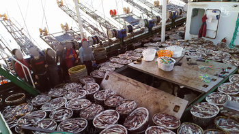 Esclavitud en alta mar: El atún tras la sombra de los convenios de libre comercio