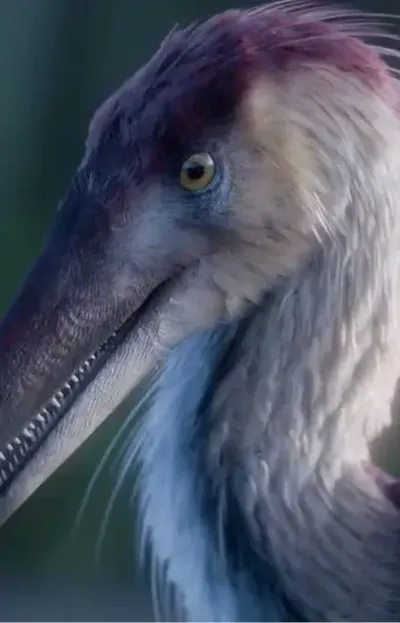 Ciencia: Parece una garza, pero es un nuevo dinosaurio de Argentina