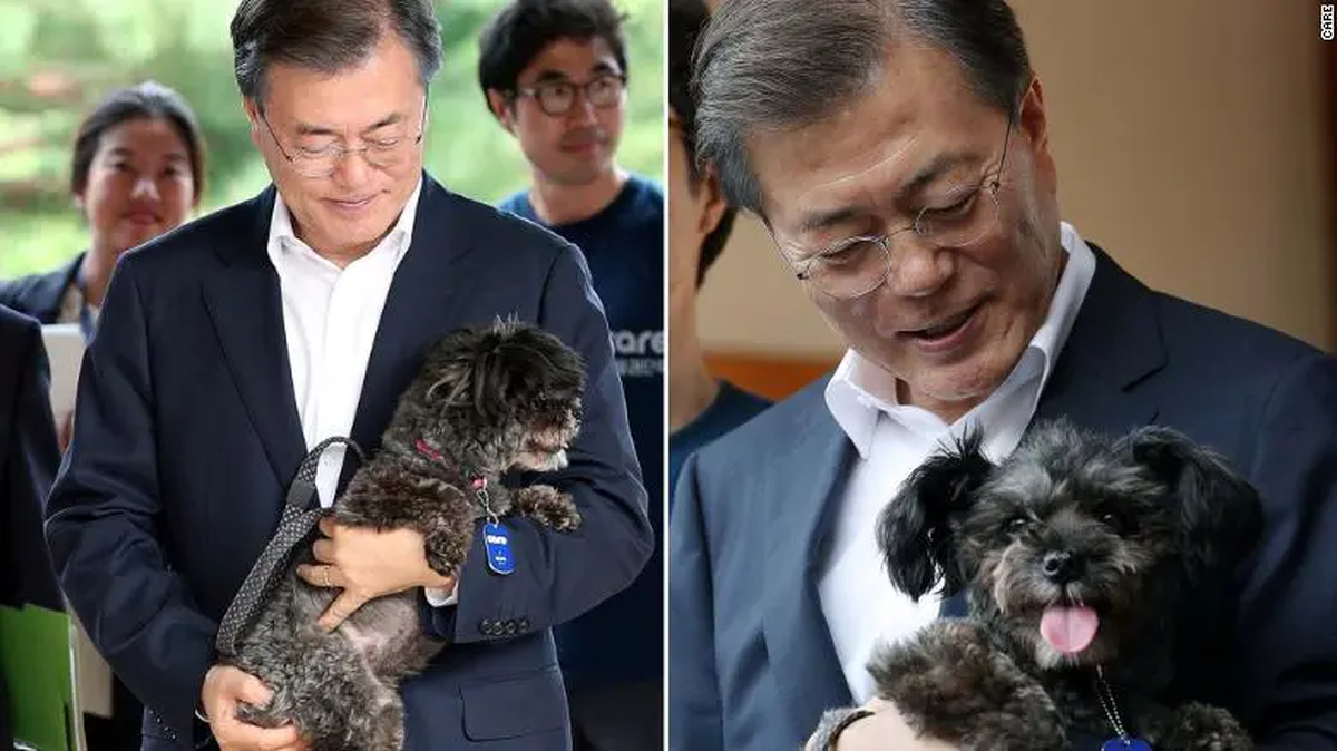 El presidente de Corea del Sur, Moon Jae-in, y su perro 'Tori'. El presidente de Corea del Sur, Moon Jae-in, y su perro 'Tori'.