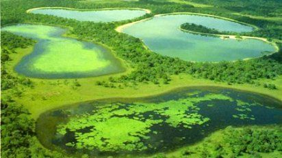 Las hidroeléctricas vs. el Pantanal
