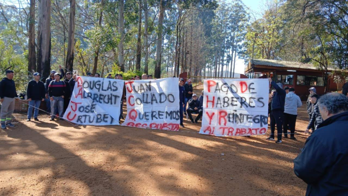La Forestadora Tapebicuá es una de las principales madereras del norte argentino. La Forestadora Tapebicuá es una de las principales madereras del norte argentino.