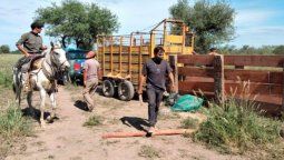 Santa Fe coordina acciones con Santiago del Estero para desbaratar bandas que se dedican al abigeato