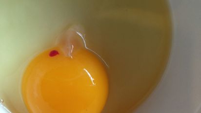 Esto es lo que debes hacer si ves una mancha roja en un huevo