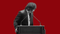 Javier Milei y la casta política Javier Milei y la casta política