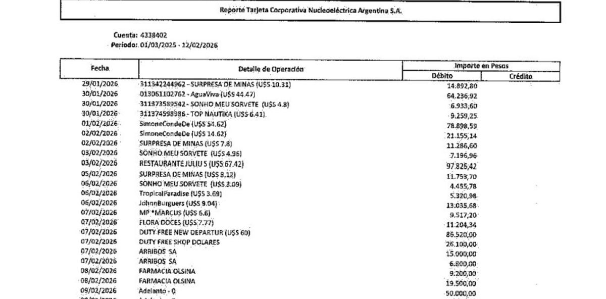 Sólo una de las 58 páginas de los consumos de la tarjeta corporativa de Nucleoeléctrica que informó Manuel Adorni.