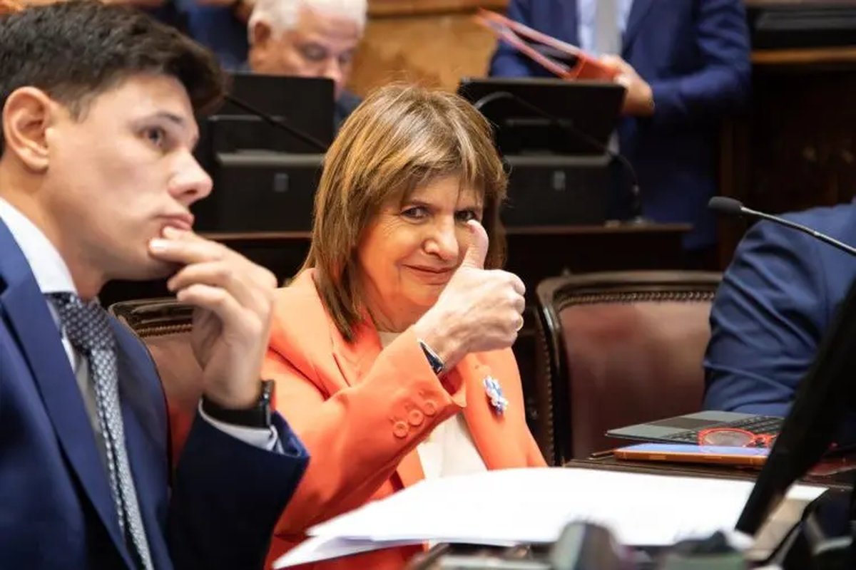 Patricia Bullrich cerró los discursos pasada la medianoche Patricia Bullrich cerró los discursos pasada la medianoche