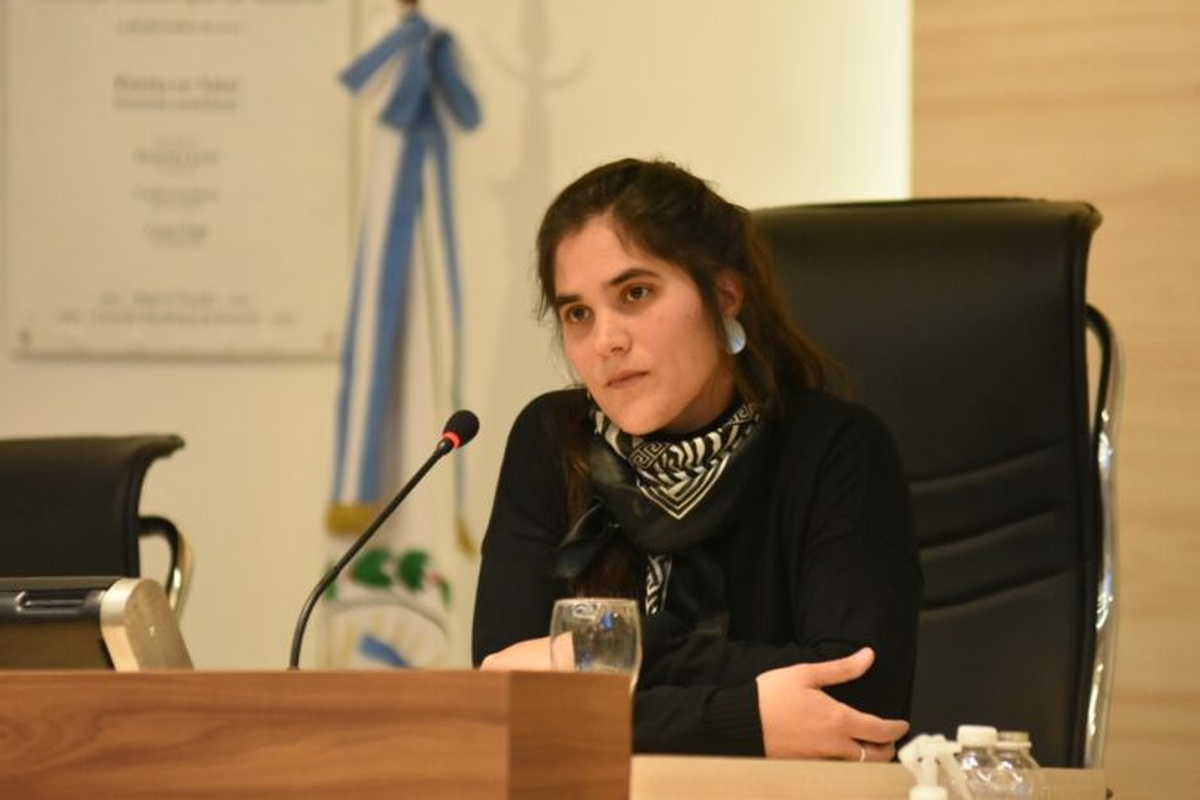 Presentó el proyecto la concejala Julia Eva Irigoitia, del bloque Justicialista. Presentó el proyecto la concejala Julia Eva Irigoitia, del bloque Justicialista.