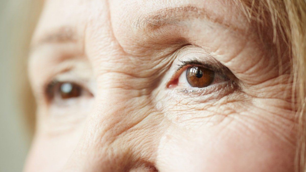 ¿Qué fruta es buena para la vista?