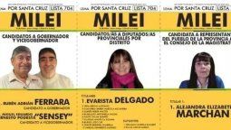 Para TN, el PRO sólo se avivó.&nbsp;