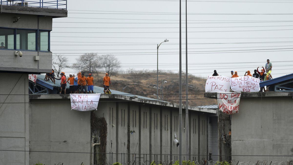 130 reclusas en libertad en Ecuador.