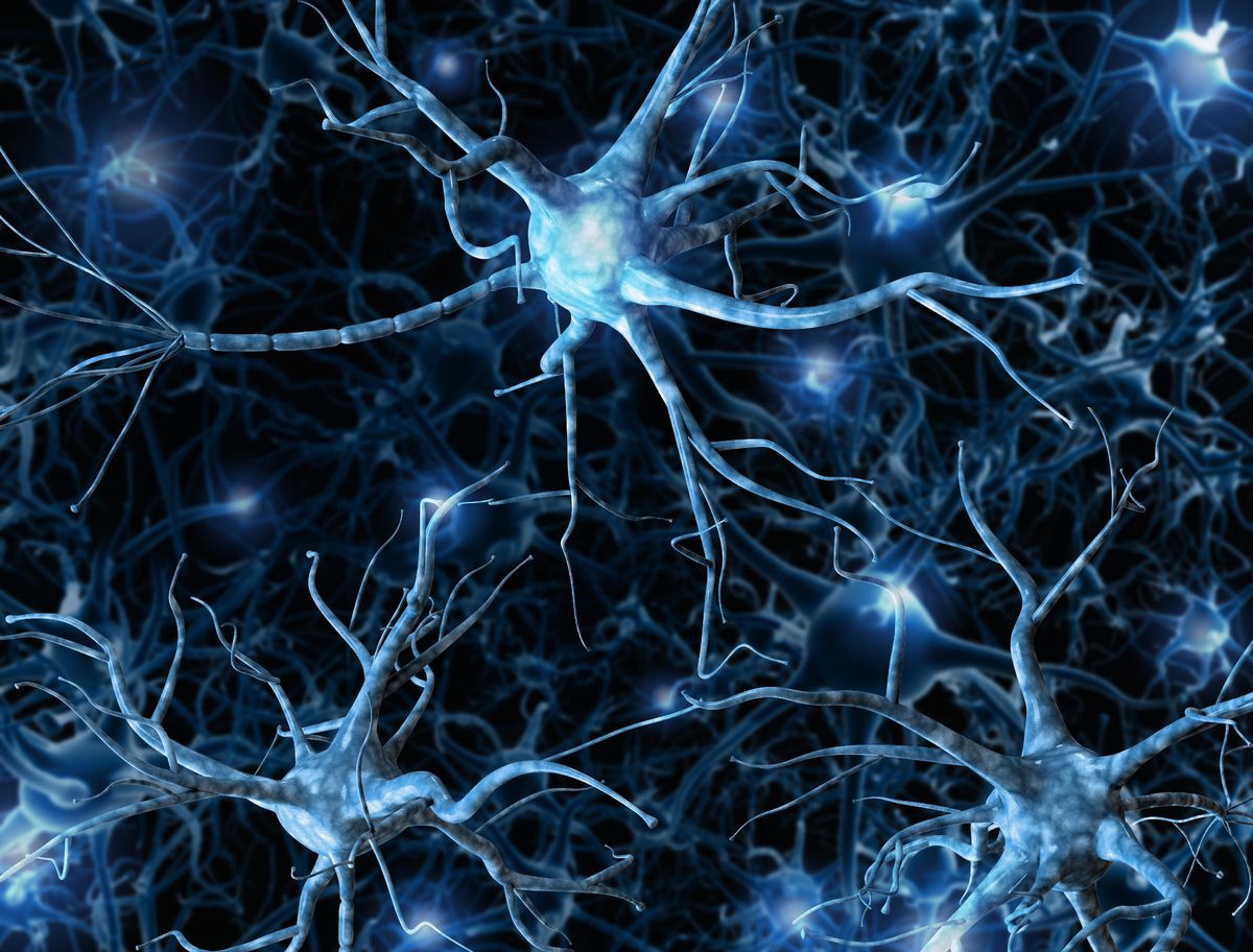 La Atrofia Muscular Espinal destruye progresivamente las neuronas motoras. La Atrofia Muscular Espinal destruye progresivamente las neuronas motoras.