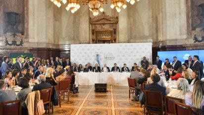 Ley Ómnibus 2: Con 'fe de erratas', debate en el Senado