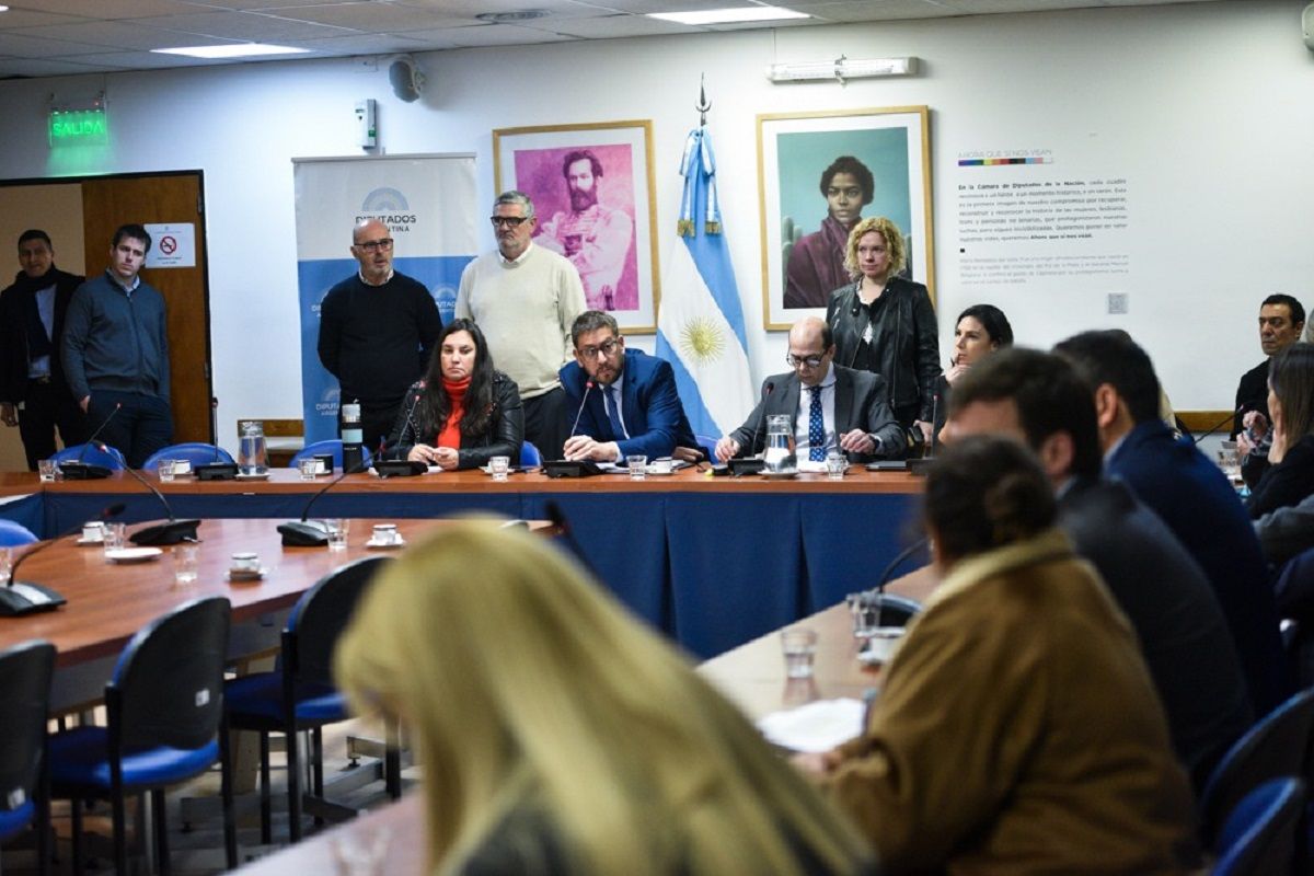 En diputados, opina la Legisladora, Graciela Camaño En diputados, opina la Legisladora, Graciela Camaño