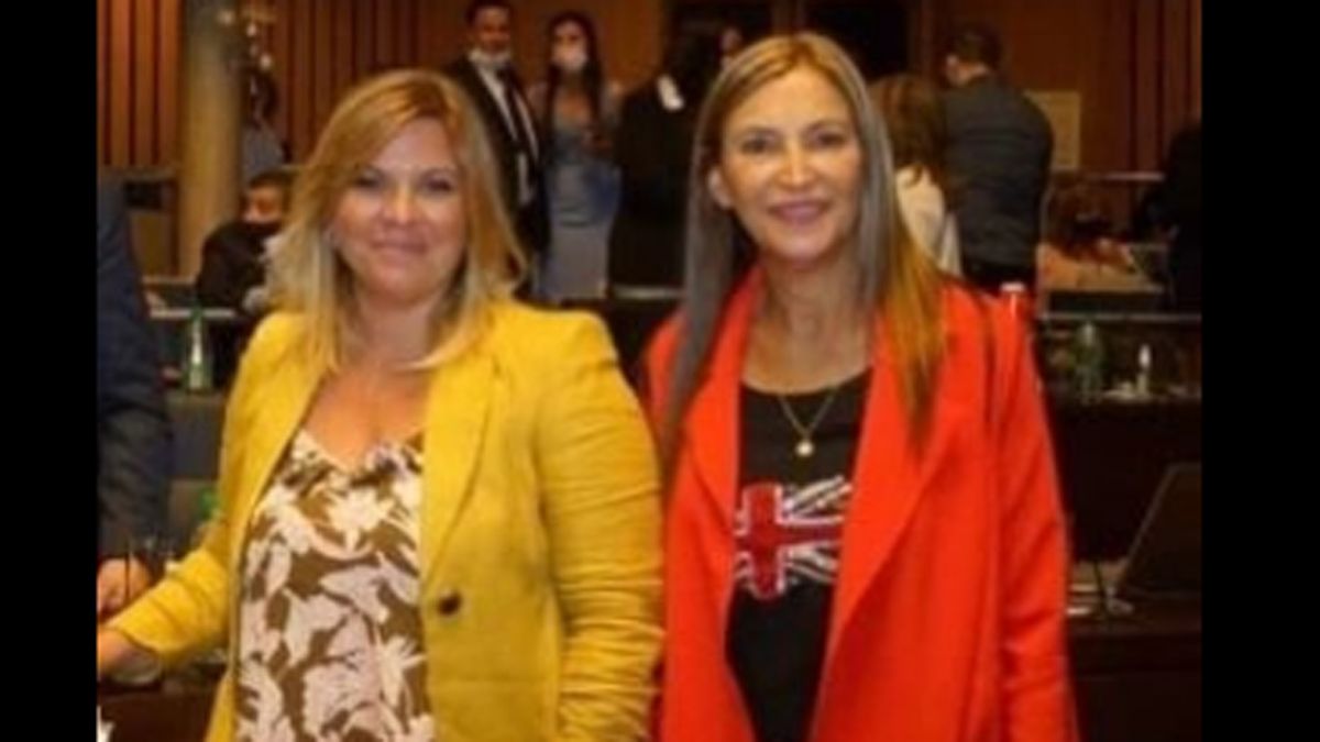 Norma Sawicz con la remera con la bandera inglesa durante la jura como diputada en Misiones.