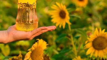 Aceite de girasol: Quien lo tenga, ha encontrado el Dorado. Aceite de girasol: Quien lo tenga, ha encontrado el Dorado.